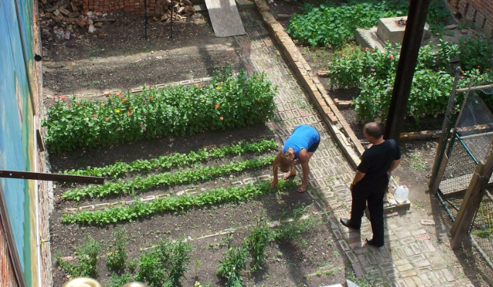 미래유망직업 도시농업관리사