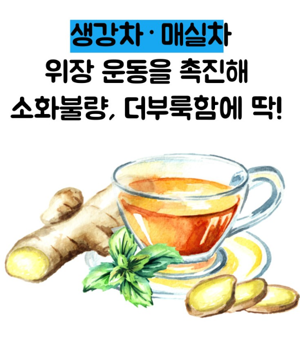 소화 잘되는 음식