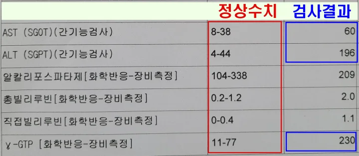 2024년-2월-간수치