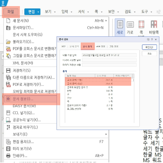 한글 - 파일 탭에서 문서정보 팝업창을 연 화면