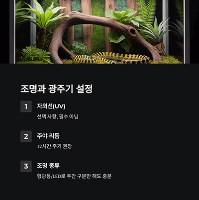 조명과 광주기 &ndash; 자연스러운 주야 리듬 유지