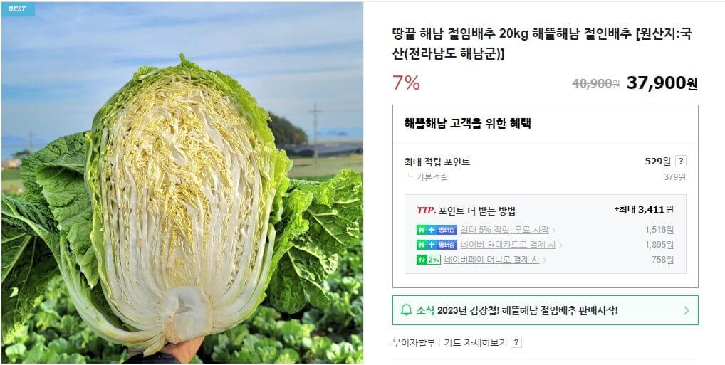 배추 단면 사진