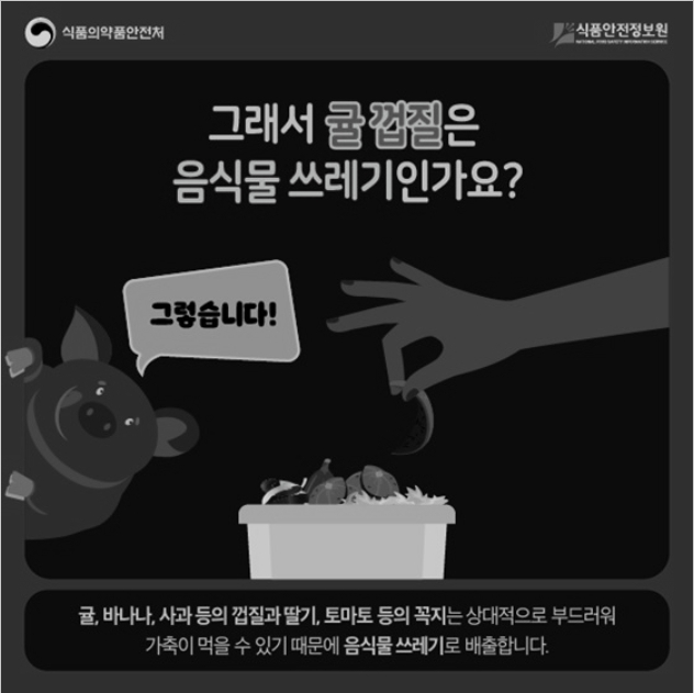 과일껍질 음식물쓰레기