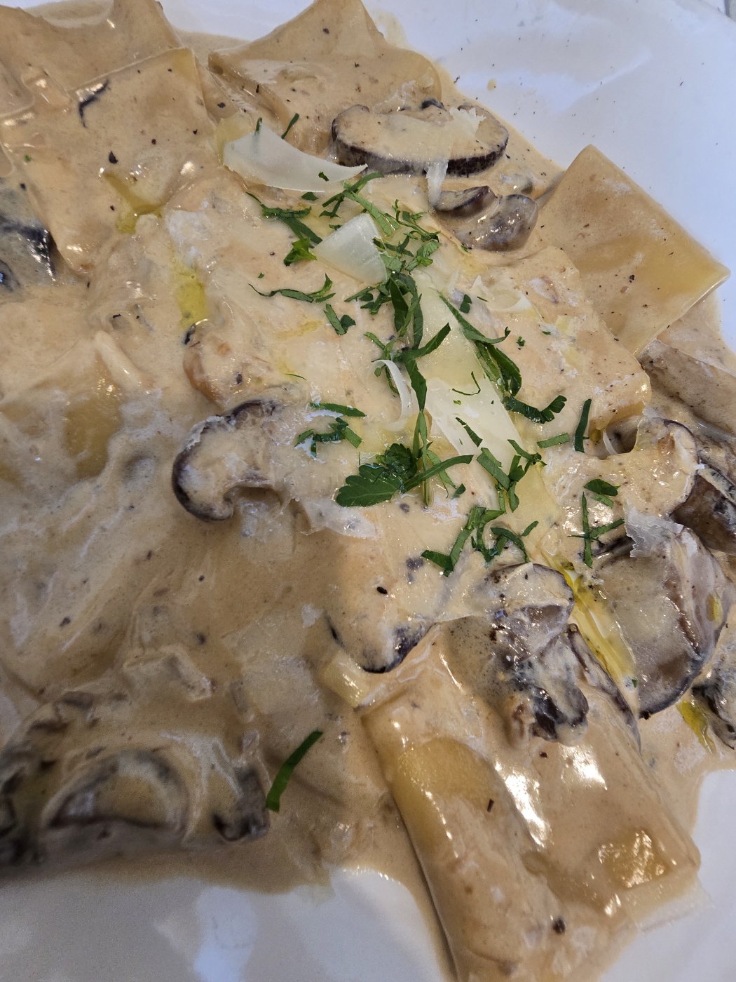 온고재 풍기 크레마 파스타