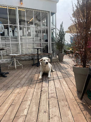 단골이 생기는 카페의 공통점