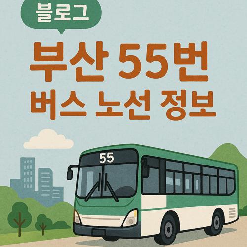 부산 55번 버스 노선 섬네일