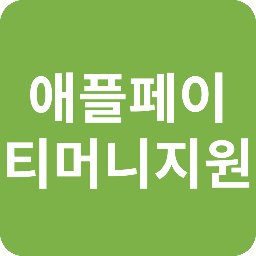 애플페이, 드디어 티머니 교통카드 지원