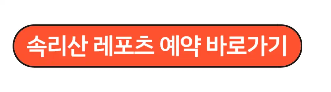 속리산 레포츠 예약