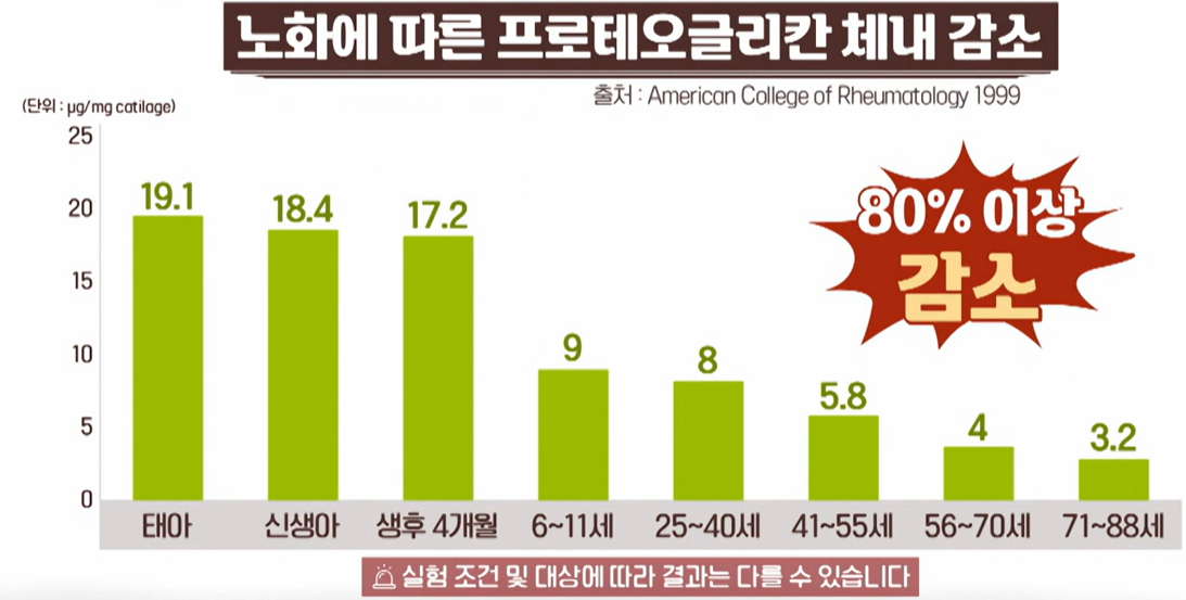 프로테오글리칸