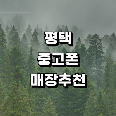 평택시 중고폰