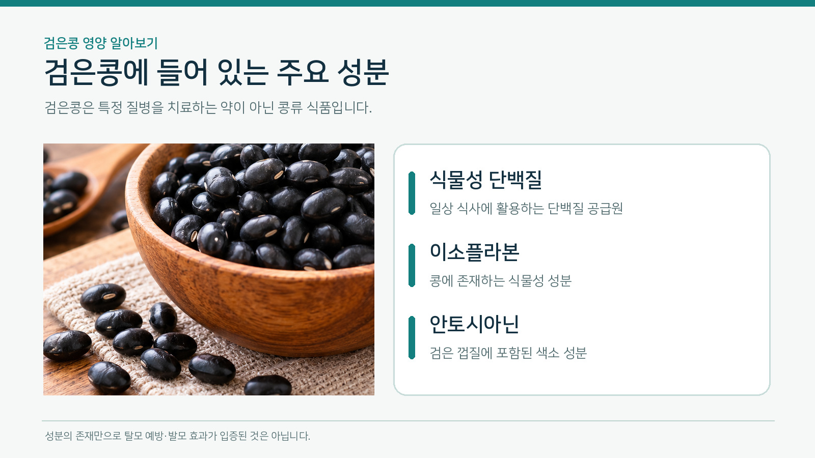 검은콩 사진과 함께 식물성 단백질, 이소플라본, 검은 껍질의 안토시아닌을 정리한 발표자료형 인포그래픽