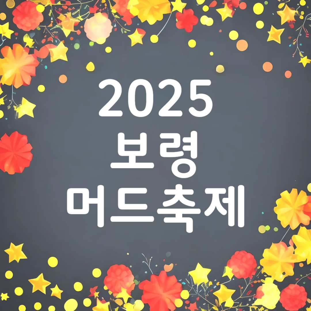 보령 머드축제