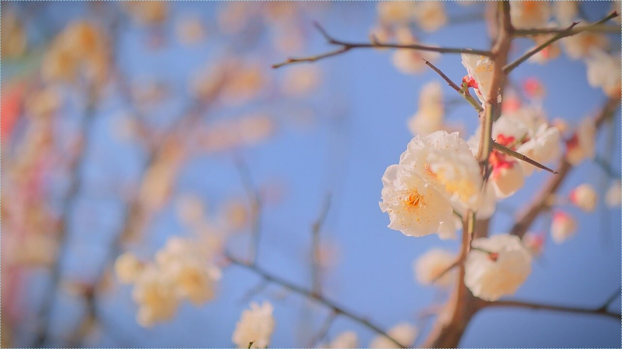 적금 이율 높은 은행