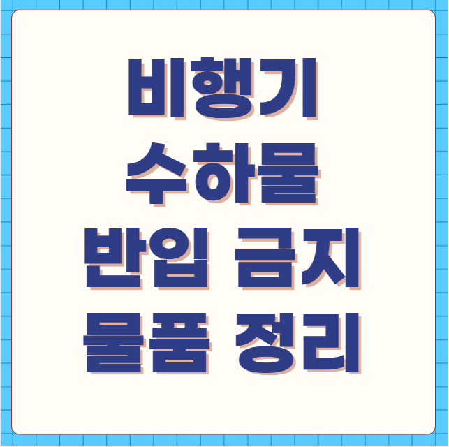 비행기 수하물 반입 금지 물품