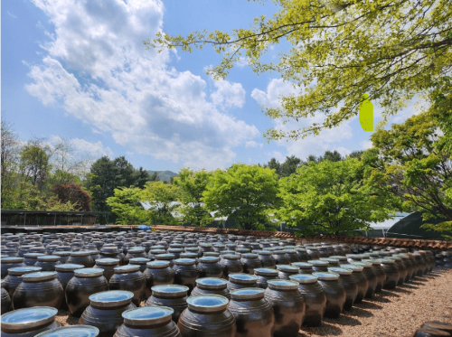 평창 성필립보 생태마을 예약 방법