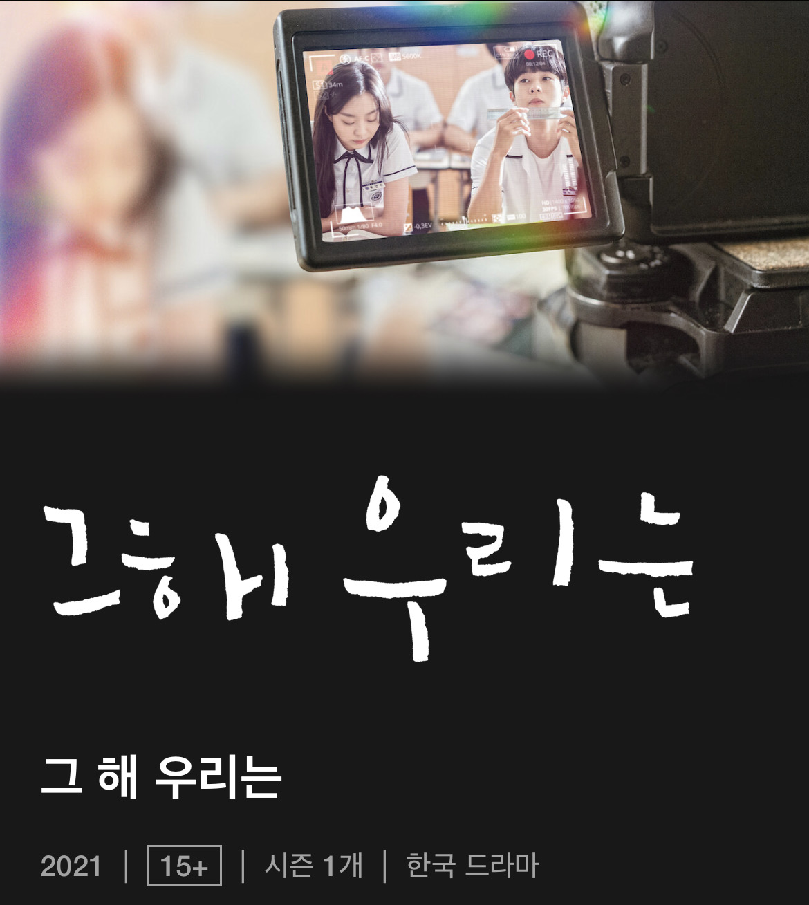 그해우리는 넷플릭스