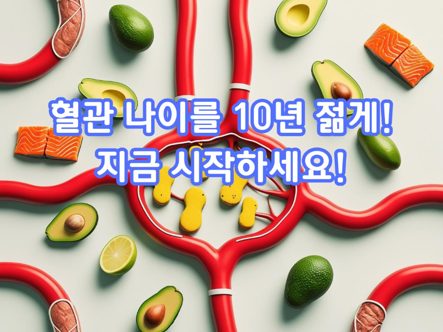 혈관 나이를 10년 젊게! 지금 시작하세요!