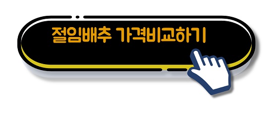 절임배추 가격비교