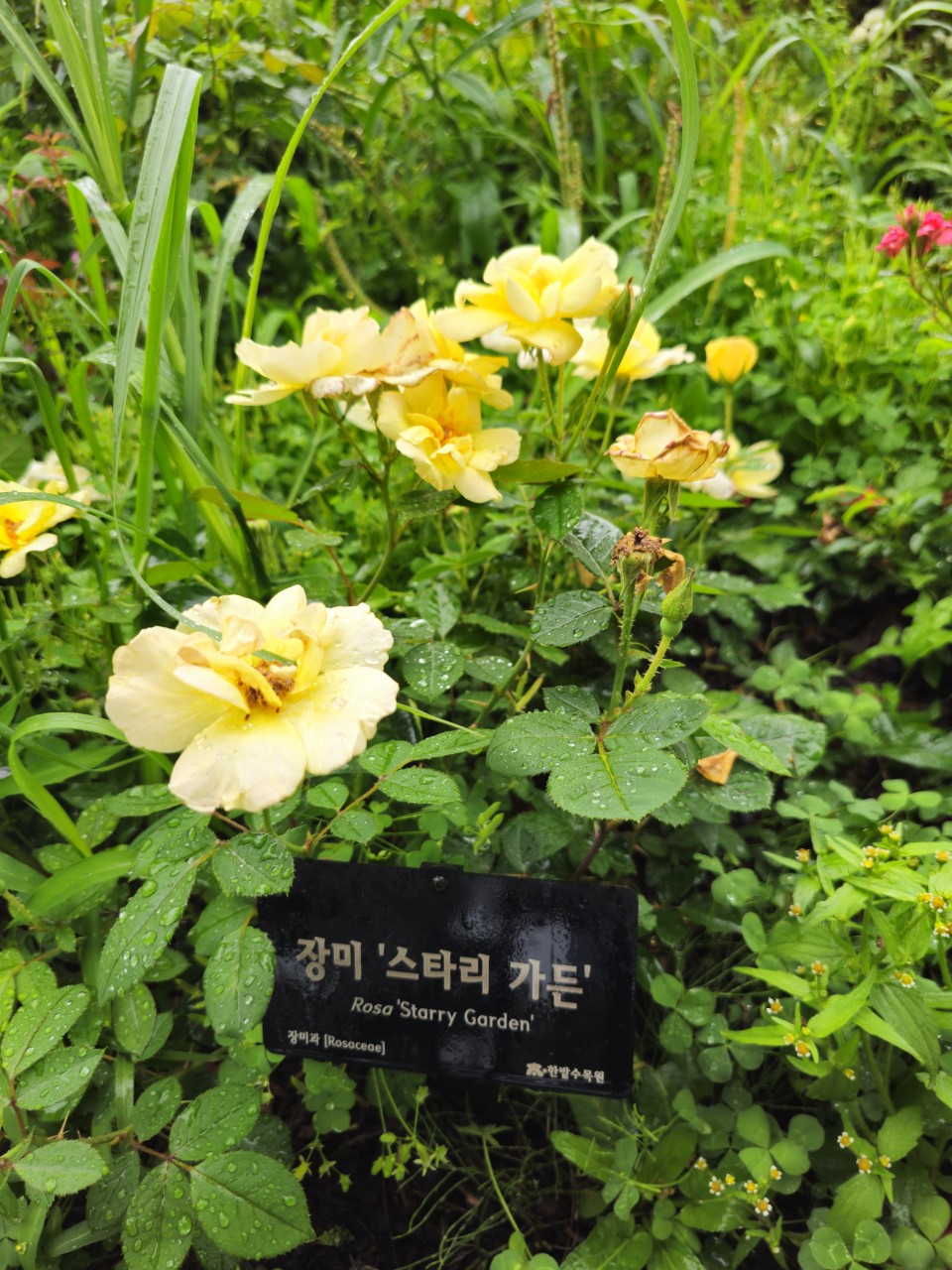 대전과 광주의 장애인 복지 차이