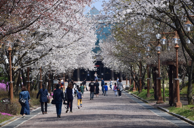 강원특별자치도립화목원1