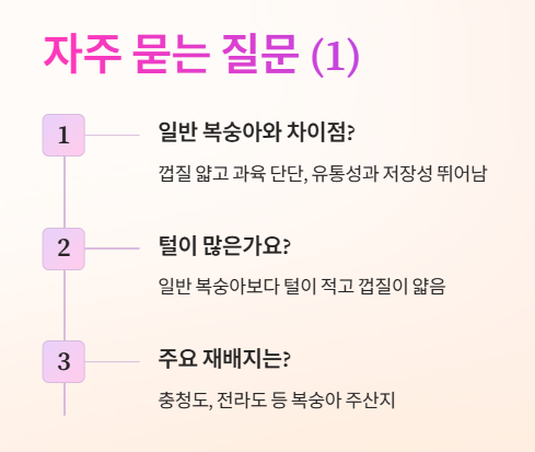 자주 묻는 질문 Q&A 1