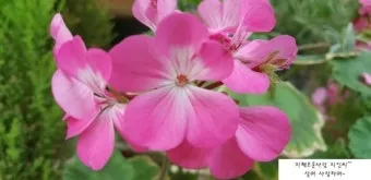 시편 8편 설교 아이디_12