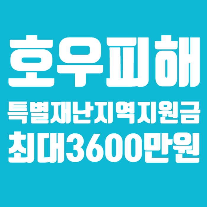 특별재난지역지원금