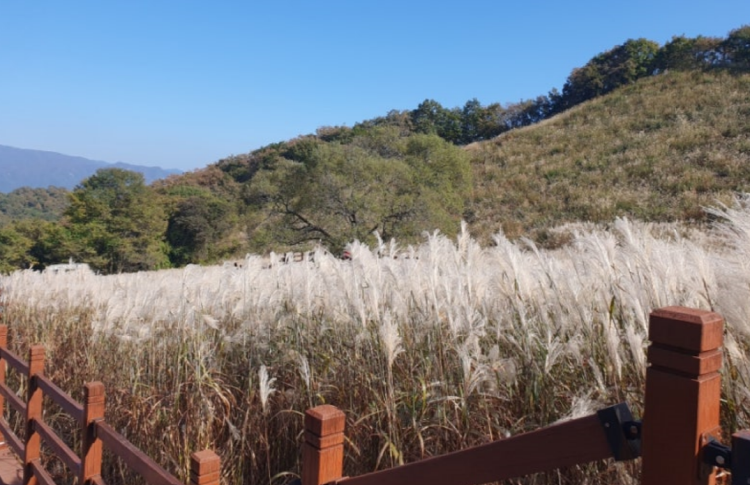 명성산 등산코스