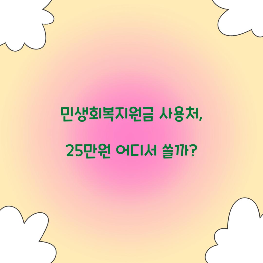 민생회복지원금 사용처