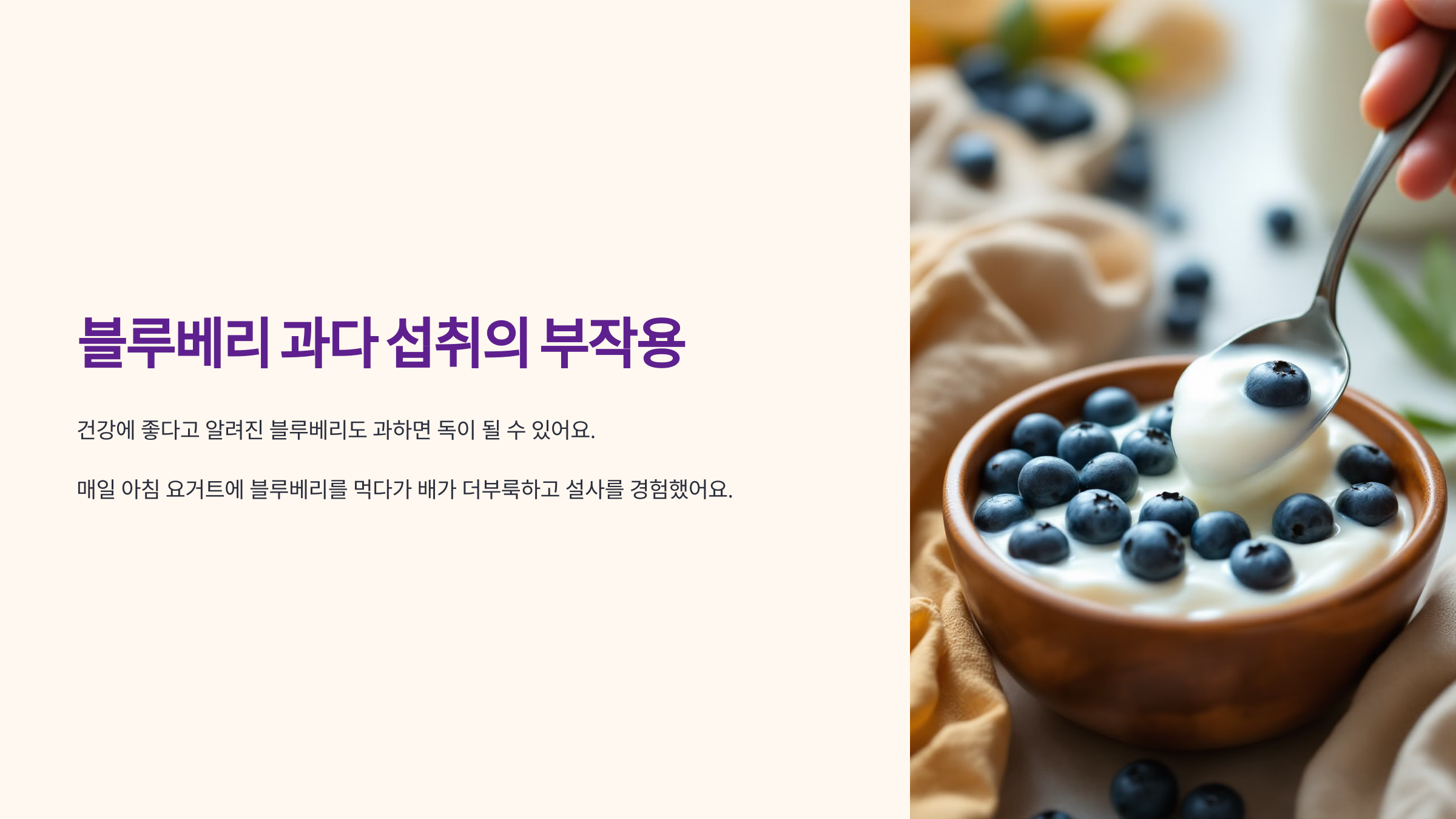 블루베리사진