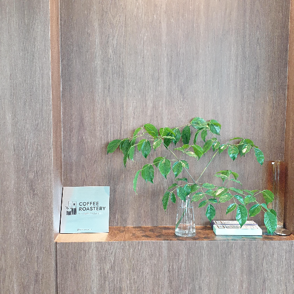 보령 핸드드립 카페 더 브루잉 룸_매장 내부 플랜트 인테리어