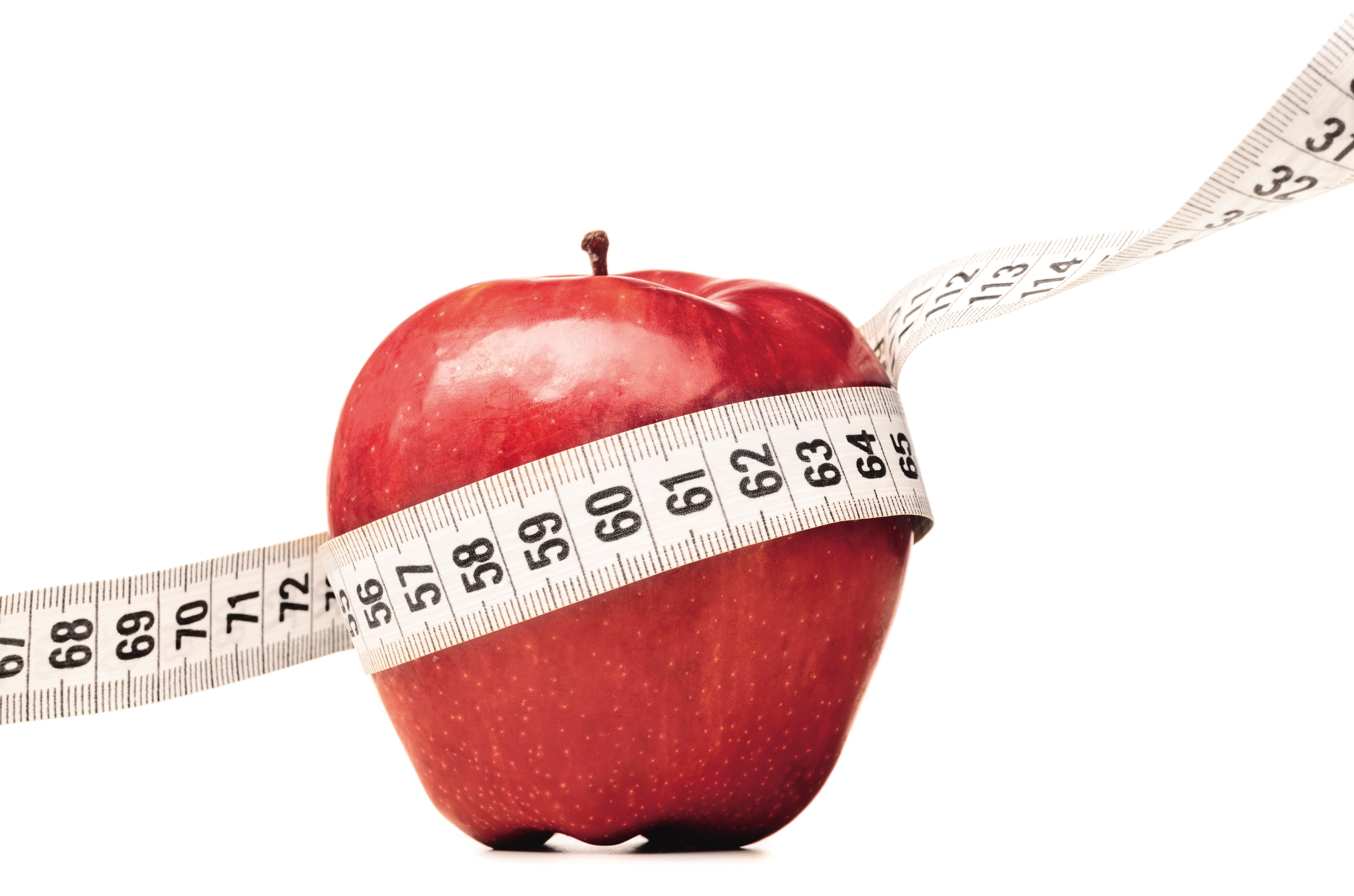 다이어트 식단 칼로리 설정