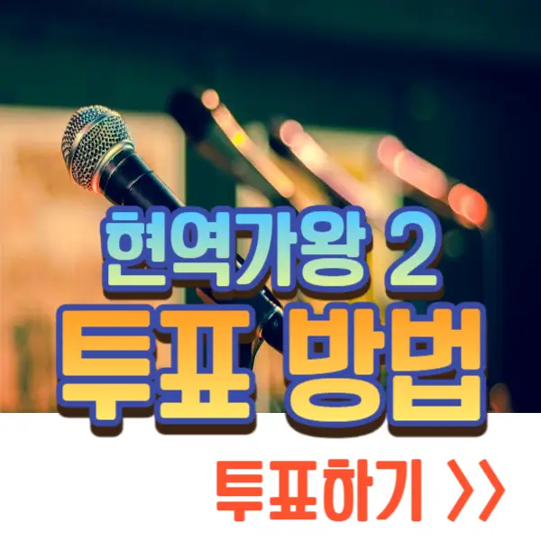 현역가왕 2 투표하기, 재방송