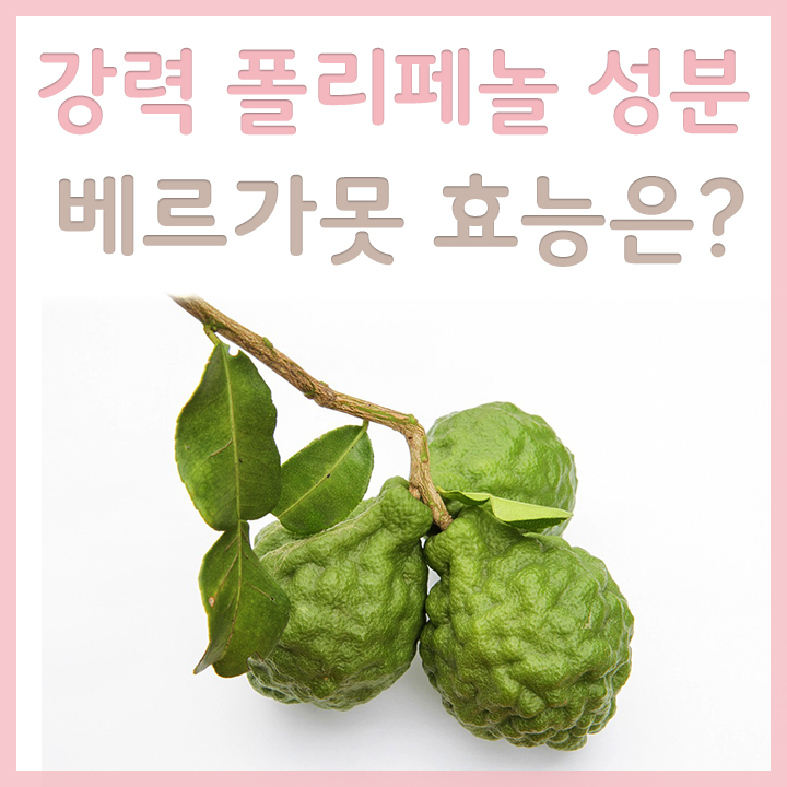 신선한-베르가못-과일