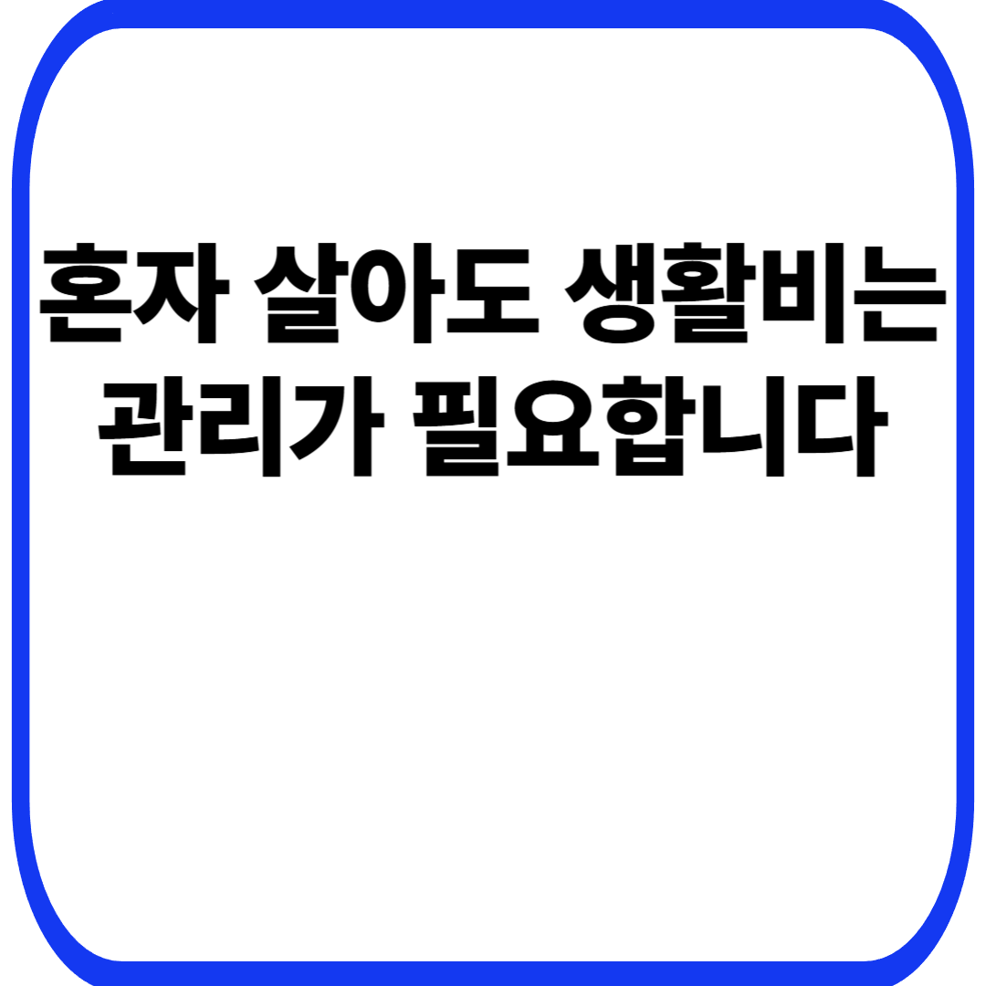 혼자 살아도 생활비는 관리가 필요합니다