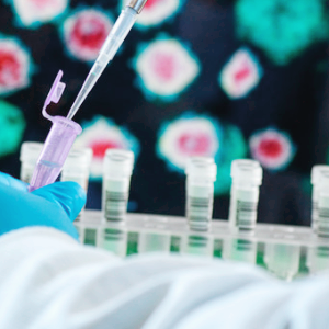 제약 바이오 관련주 대장주 테마주 TOP5 : 알테오젠