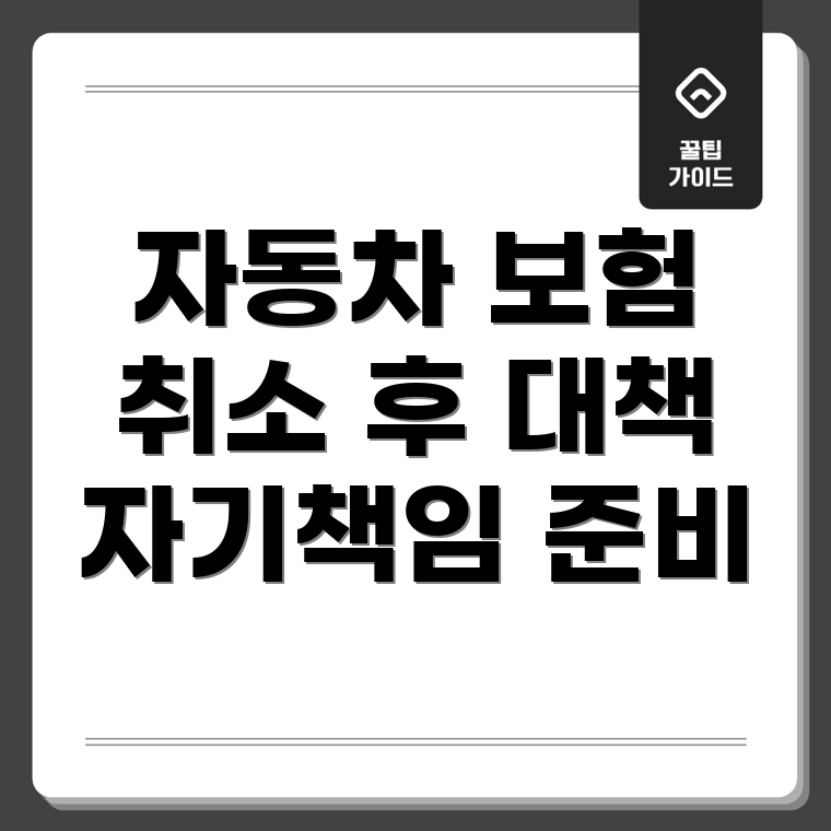 자동차 보험