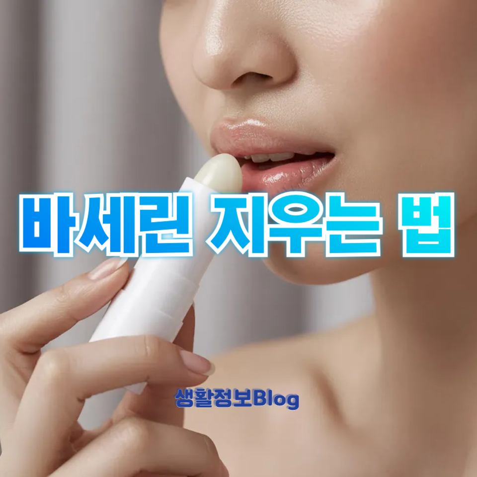 바세린 지우는 법