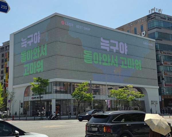대전 오월드 6월 5일 재개장 확정: '늑구' 탈출 사태 종결과 이중 방어 시설 보강 내역 및 입점업체 피해보상 규모 심층 진단