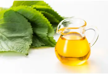 들깨 가격 및 효능&amp;#44; 영양소와 먹는 방법