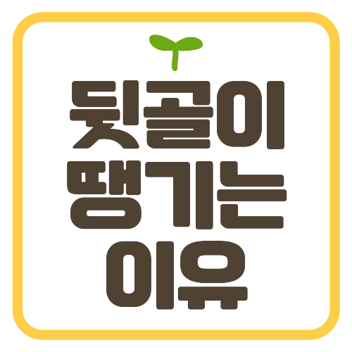 뒷골이 땡기는 이유