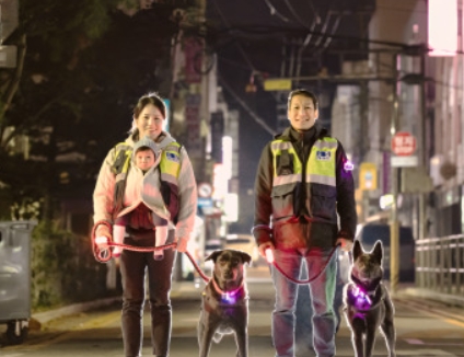 2025년 반려견 순찰대 추가 모집! 