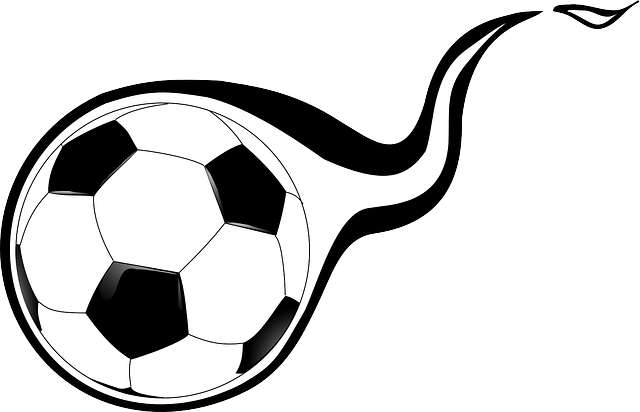 한국 쿠웨이트 축구 예매하기