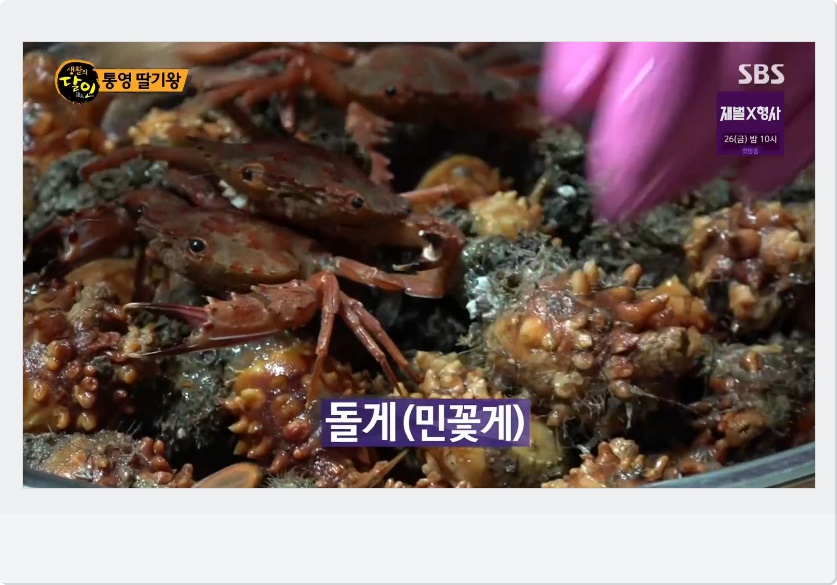 생활의달인 통영 딸기왕