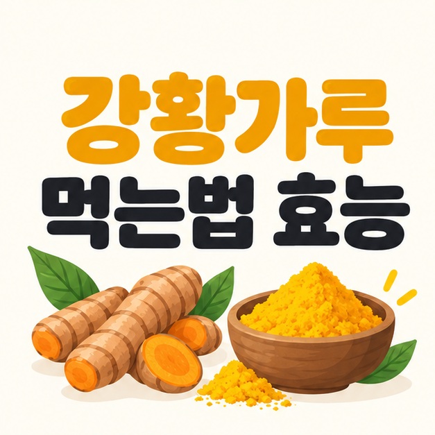 강황가루 먹는법 효능 제목과 강황 뿌리 및 가루 일러스트
