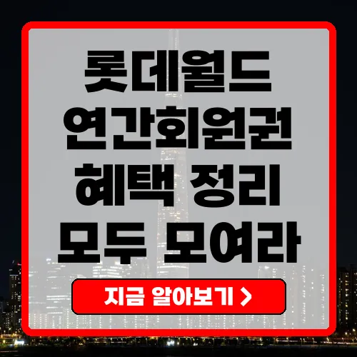 롯데월드 연간회원권