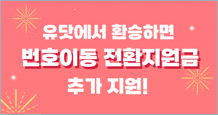 번호이동-전환지원금