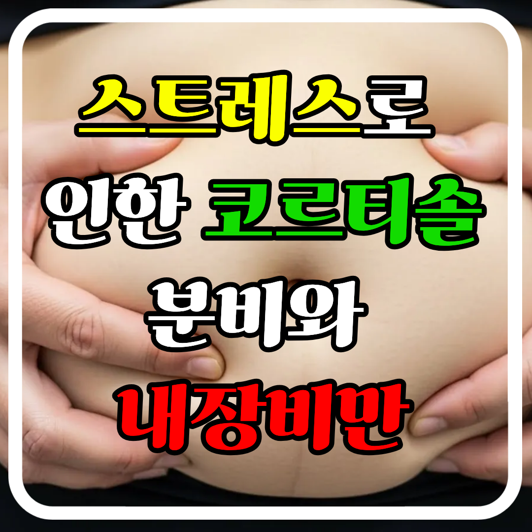 코르티솔 분비가 복부 내장지방을 유발