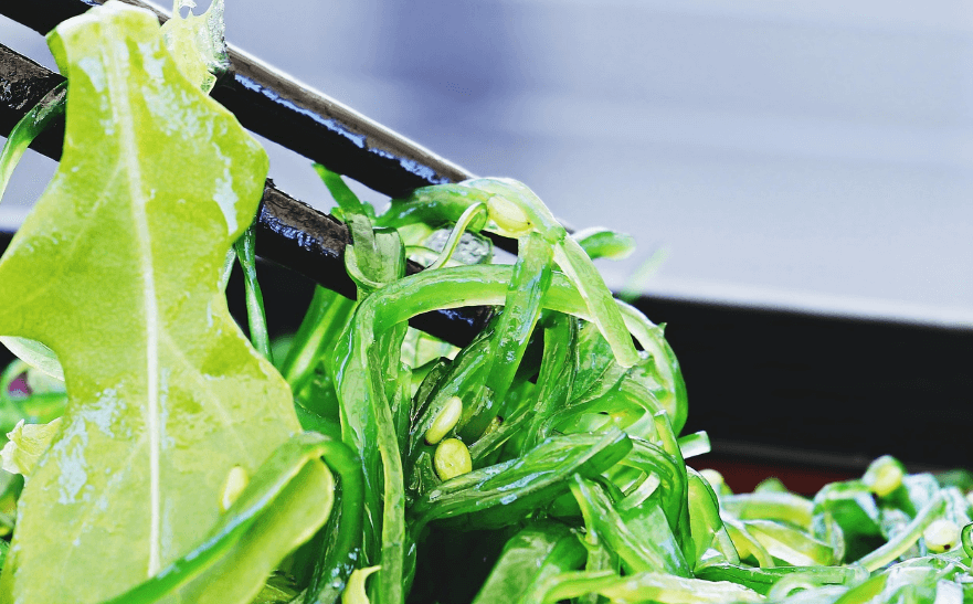 해조류 요오드 영양소 미역 음식 사진