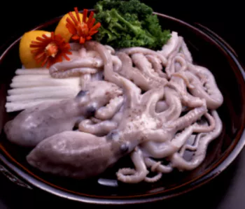 낙지-음식3